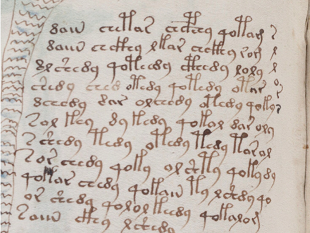 Voynich-manuscript3